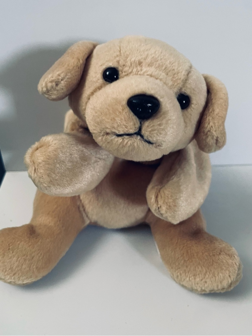 Fetch the dog retired. Ty Plush Puppy Dog Toy in Light Beige